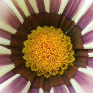 Meet your Posher, Robin